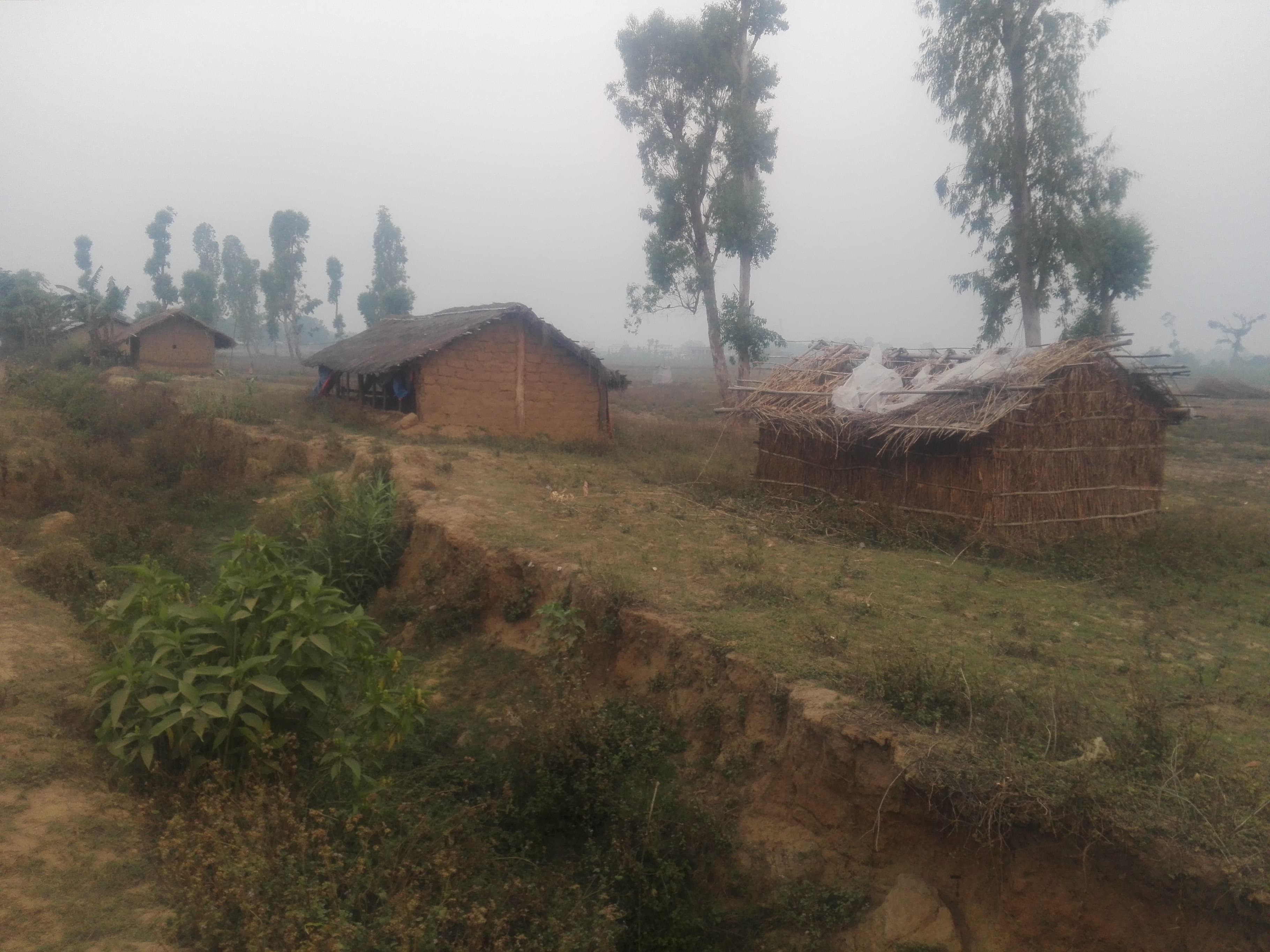 खाली होला त बीस वर्षदेखि सुकुम्बासीको कब्जामा रहेको क्याम्पसको जग्गा ?