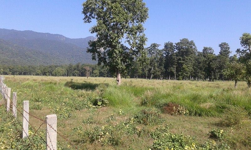 डुँडेझारी औद्योगिक क्षेत्रको योजना १६ वर्षदेखि अलपत्र