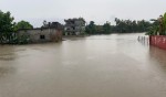 एकैदिनको पानीले धनगढी जलमग्नः दुई हजार घरमा बाढी, आठ जनाको उद्धार