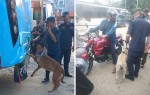 सीमामा कडाइः तालिम प्राप्त कुकुरद्वारा जाँच