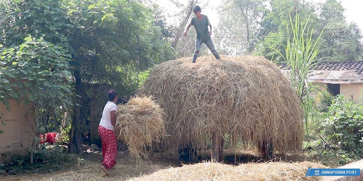 सहरी क्षेत्रमै छैन मतदाता शिक्षा