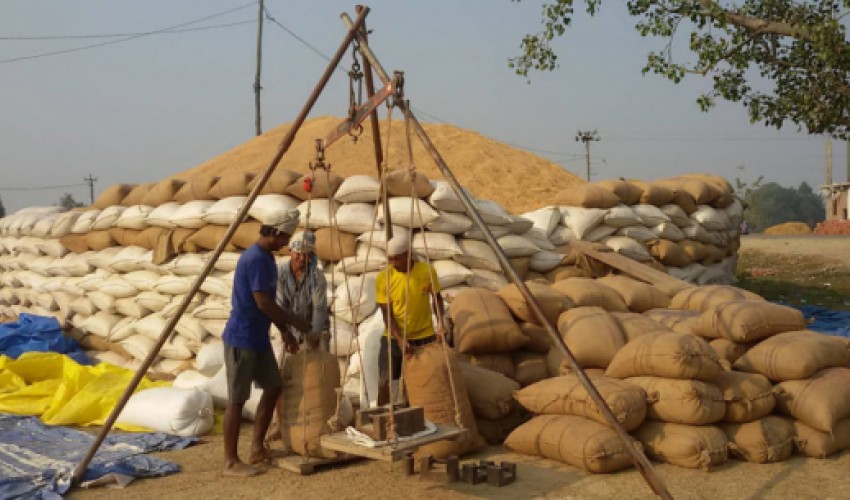 धान बिक्री गर्न रातभर किसान खुला आकाशमुनि