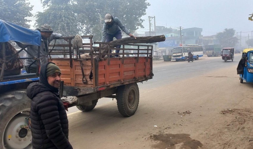 कैलालीको गोदावरी नगरपालिकाद्धारा अत्तरियामा दाउरा वितरण