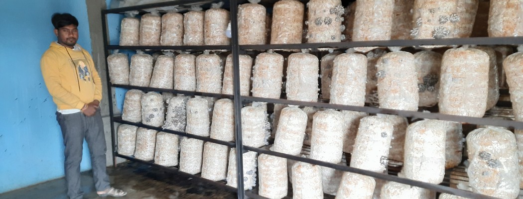 च्याउ खेतीमा रमाउँदै कठरिया