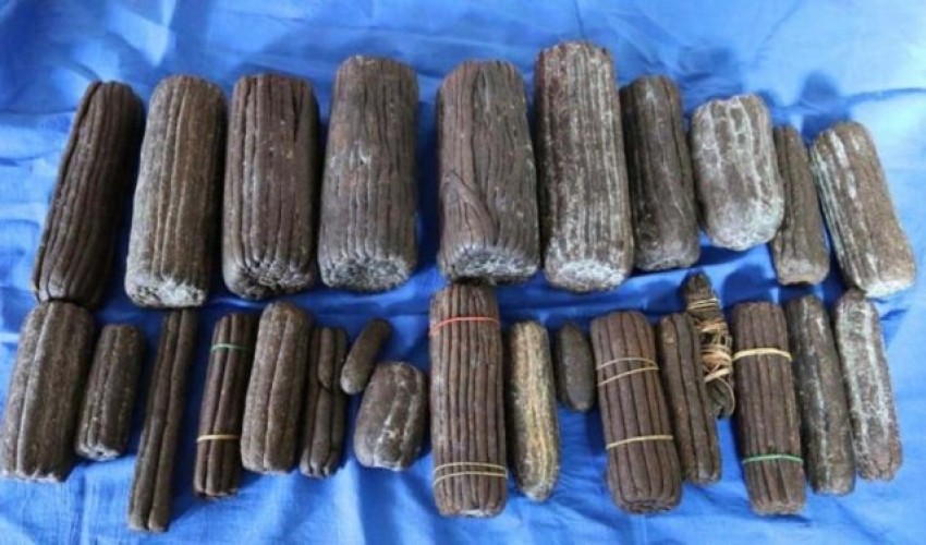 ११ किलो चरेशसहित चार जना पक्राउ