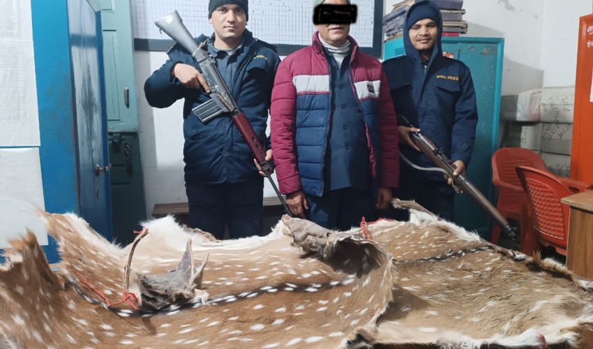 चित्तलका दुई छालासहित एक जना पक्राउ