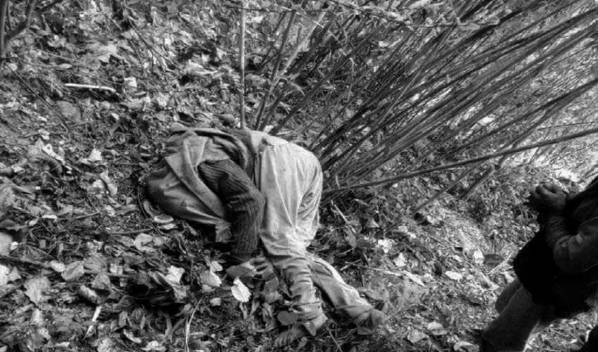 रुखबाट लडेर वृद्धाको मृत्यु