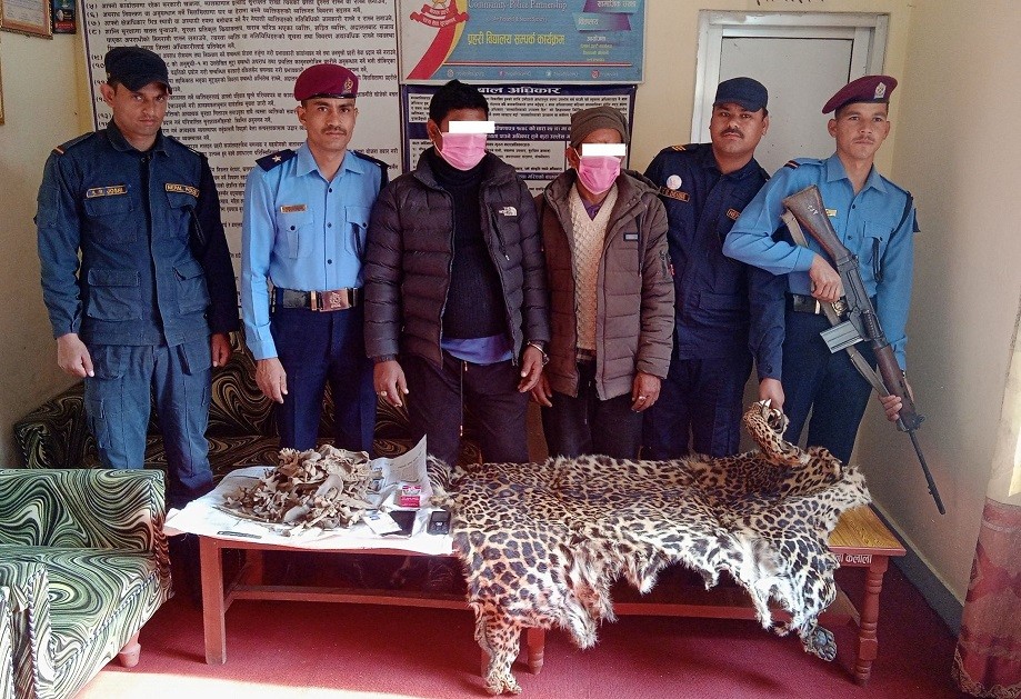 चितुवाको छालासहित दुई जना पक्राउ