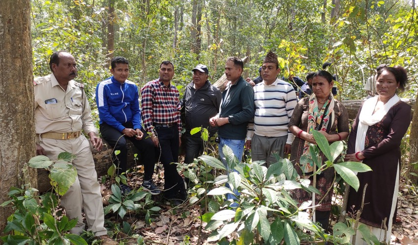 बाघको आक्रमणबाट महिलाको मृत्यु