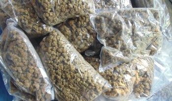 चिसापानीबाट गाँजा र खैरो हेरोइनसहित दुईजना पक्राउ