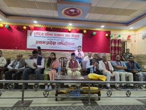 संविधान कार्यान्वयन आजको आवश्यकता : प्रदेश प्रमुख मियाँ