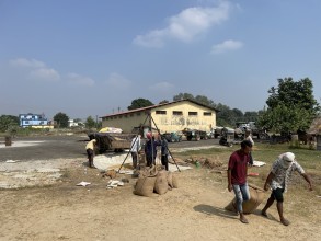 कैलालीमा धान उत्पादन घट्यो