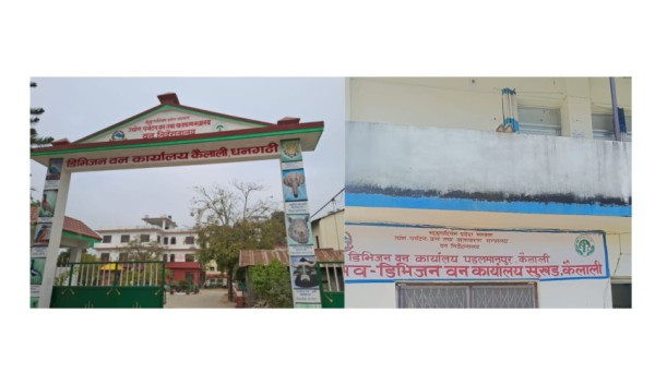 दुई डिभिजन वनमा अख्तियारको एकसाथ छापा