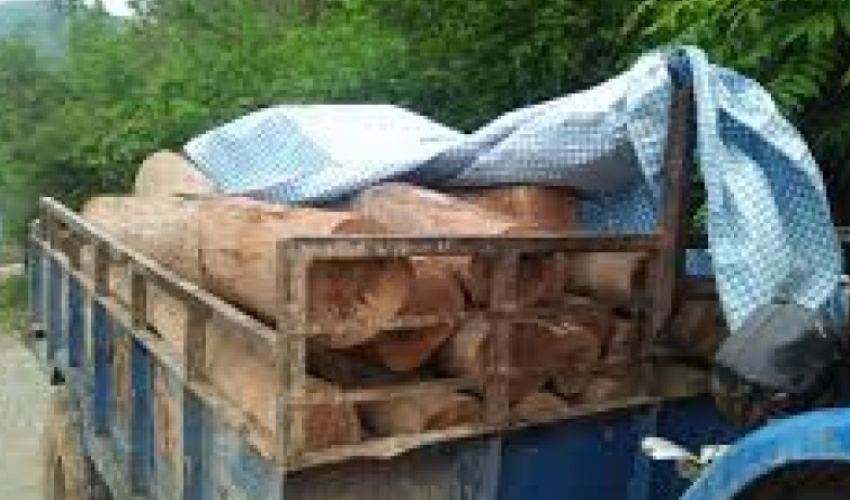 सिमलको अवैध काठ बरामद