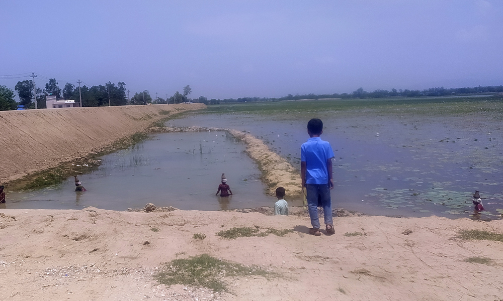 संरक्षणको पर्खाइमा राजी ताल