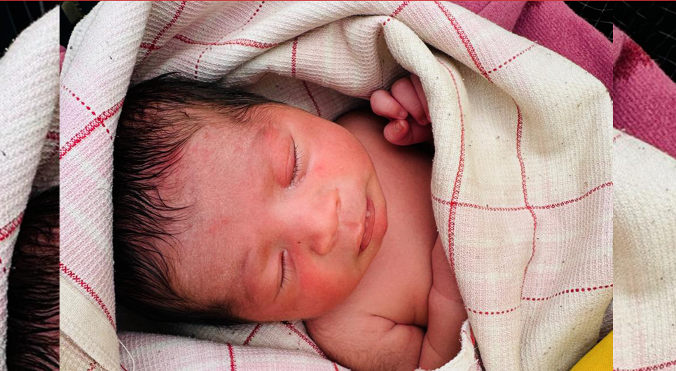 नवजात शिशु बेवारिसे अवस्थामा फेला
