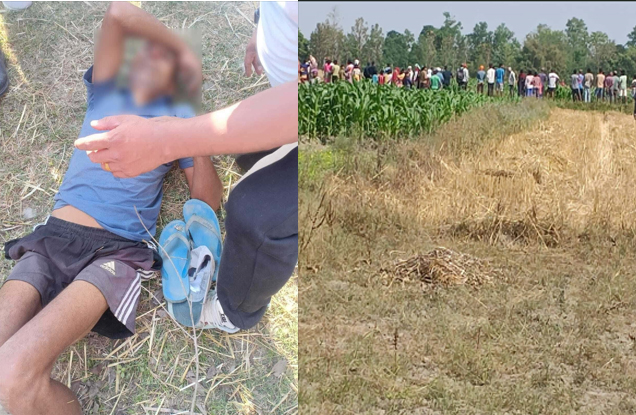 चितुवाको आक्रमणबाट दुई जना घाइते